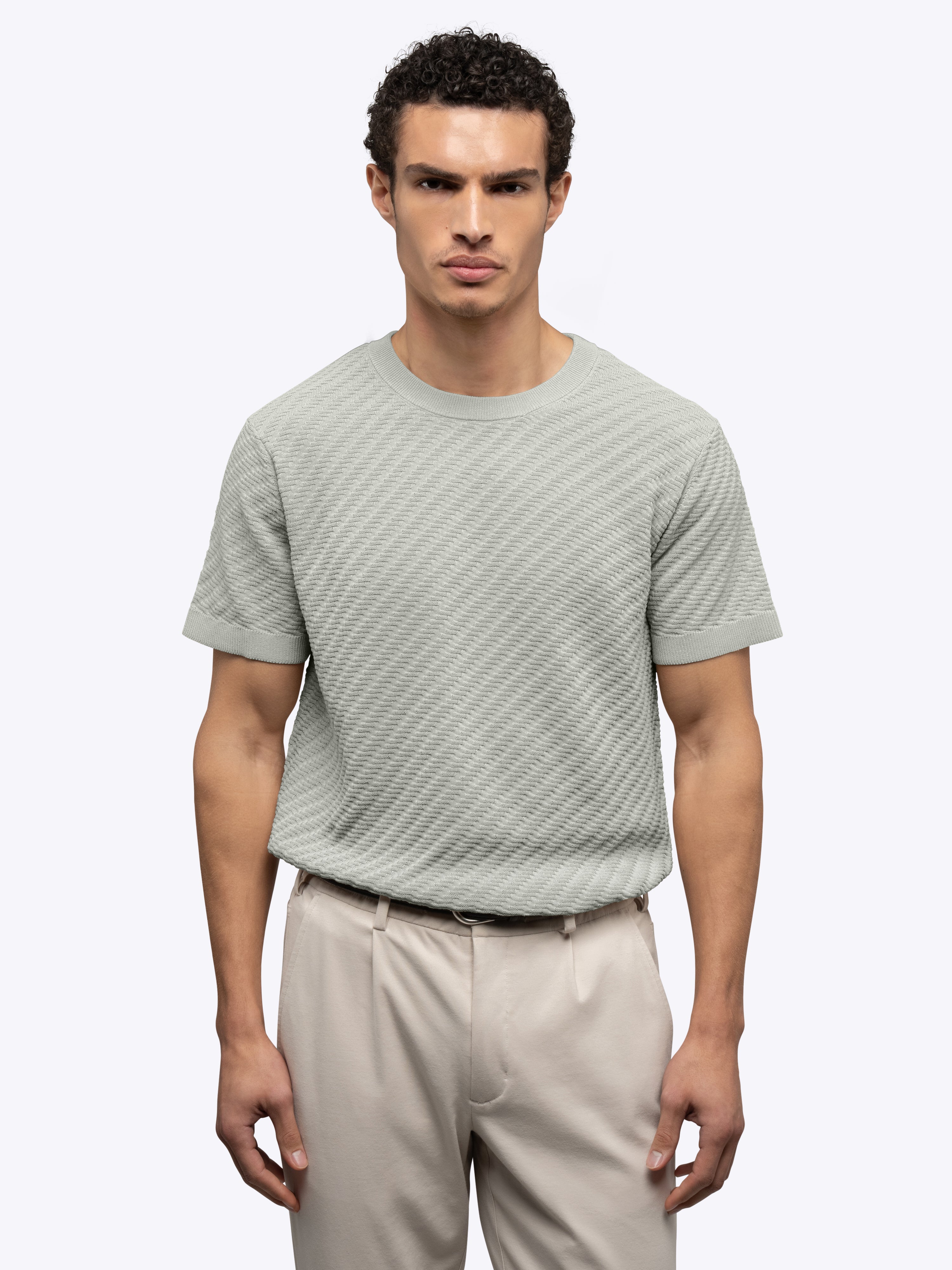 Riviera Knit Textured Tee | Morning Dove Signature-Fit - Image 2
